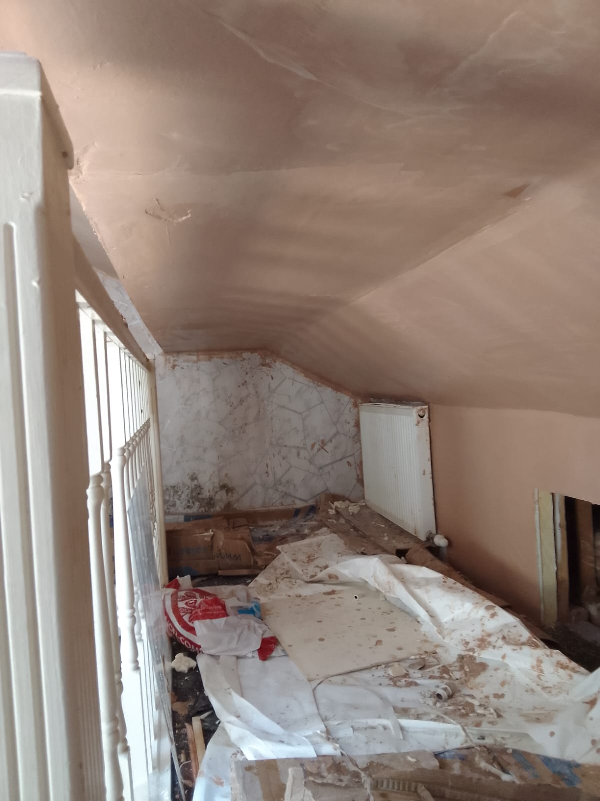 Room in Roof
