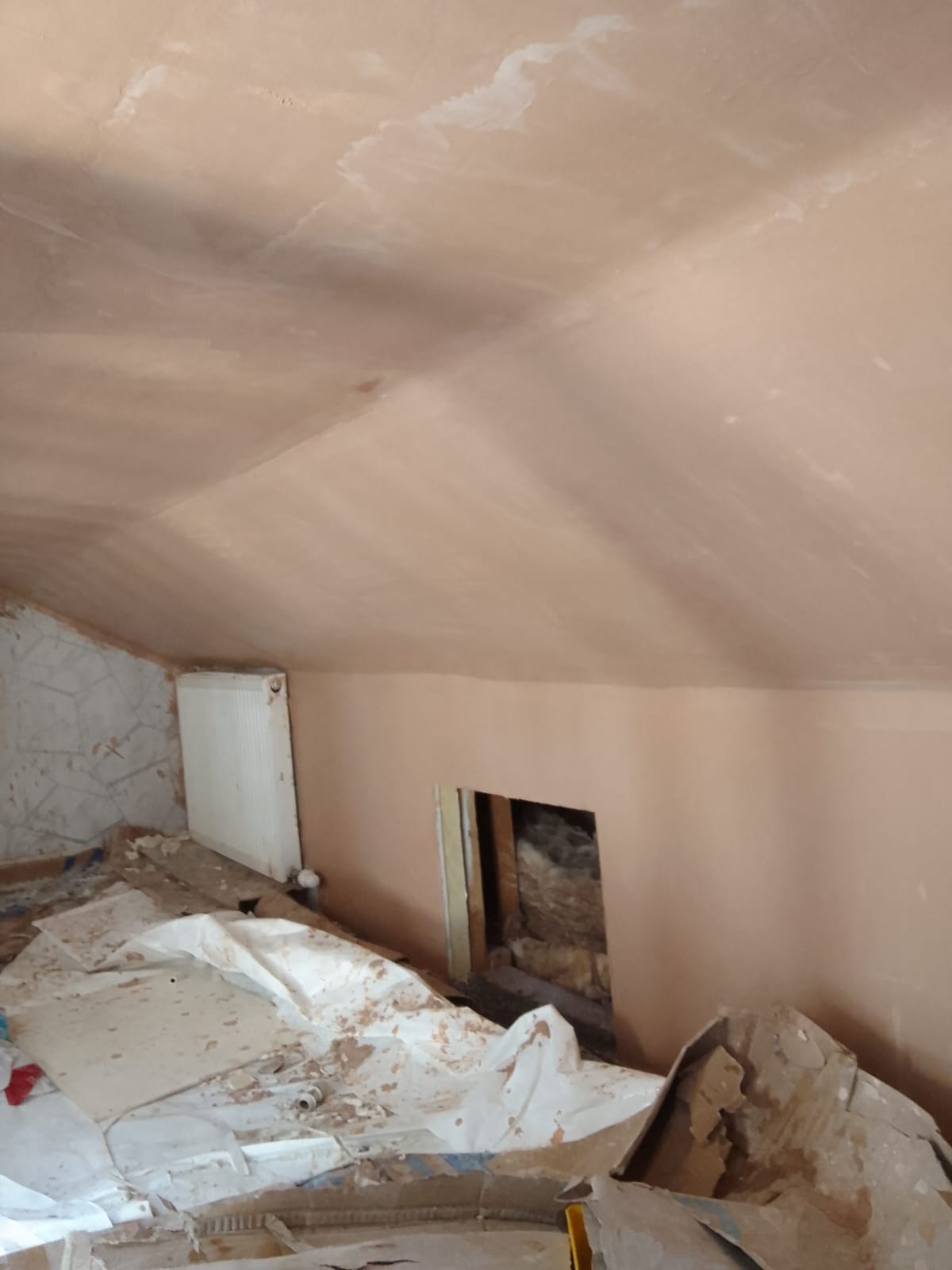 Room in Roof